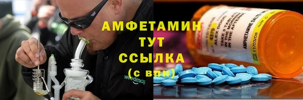 мет Алексин