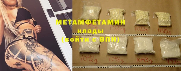 мет Алексин