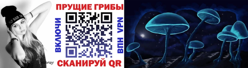Галлюциногенные грибы мицелий Закаменск